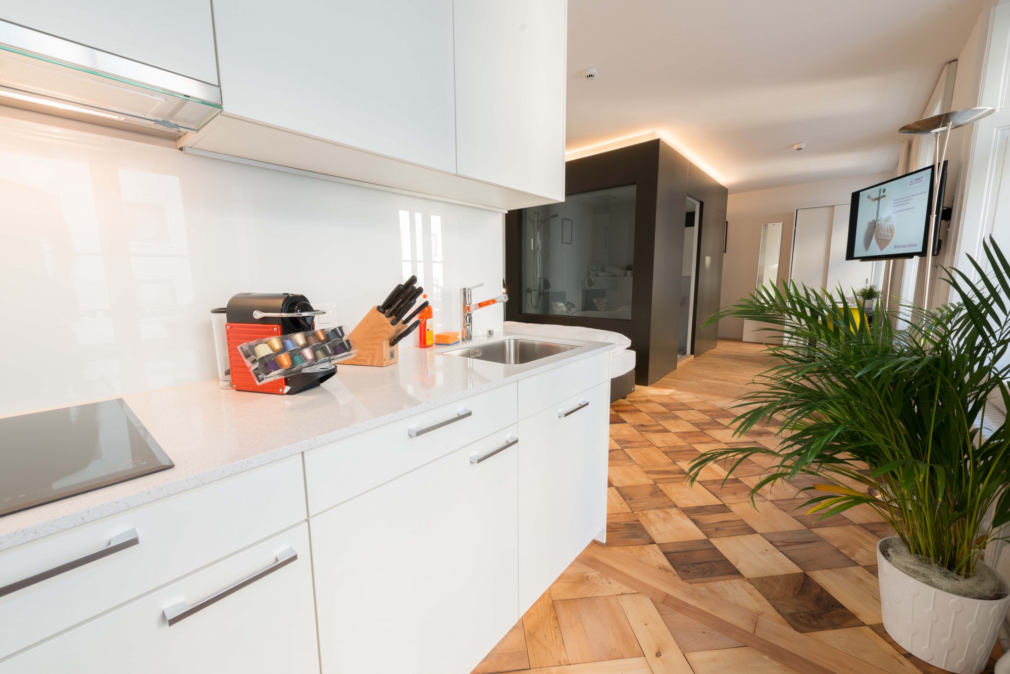 Serviced Apartment in Luzern 1 Zimmerwohnung in Luzern Leben im